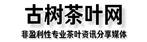 古树茶叶网